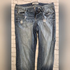 Torrid Jeans